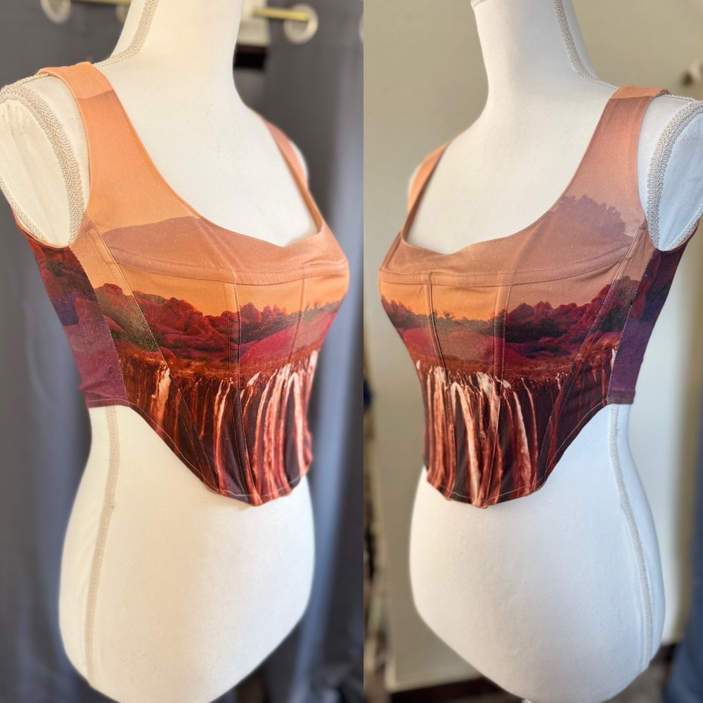 Miaou Campbell Oasis Corset Top Large Orange Desert Waterfall Landscape Boned - Picture 3 of 16